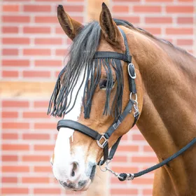 Comparer les prix de Tétière anti-mouches Busse VISBY II - Taille SH - Noir