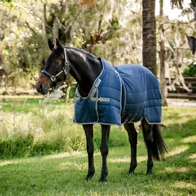Comparer les prix de Horseware Rambo Optimo Stable 400g - Taille 125
