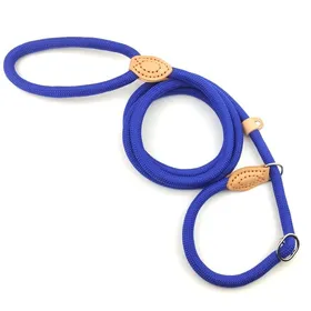 Meilleurs prix pour Corde pour chien Contrôle de traction coulissant sans boucle de traction, Joint en cuir durable et Boucle métallique réglable Colliers pour animaux de compagnie en forme de P 0.8cm-1.5m