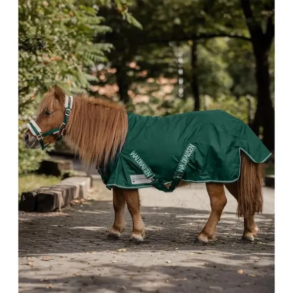 Couverture dextérieur pour cheval Waldhausen Shetty 100g - Vert - 80 cm – photo 3
