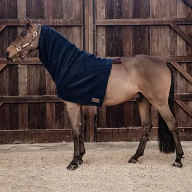 Meilleurs prix pour Couvre-cou pour cheval polaire Kentucky