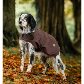 Comparer les prix de Manteau pour chien Horseware Newmarket Heritage