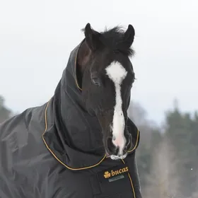 Meilleurs prix pour Couvre-cou pour cheval imperméable Bucas Irish