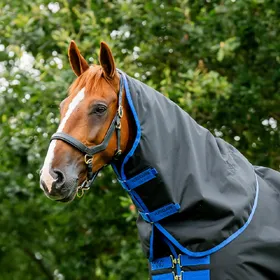 Comparer les prix de Horseware Amigo Ripstop 900 Hood 0g