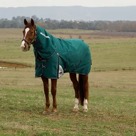 Meilleurs prix pour Weatherbeeta Comfitec Plus Dynamic Turnout Detach-A-Neck 0g