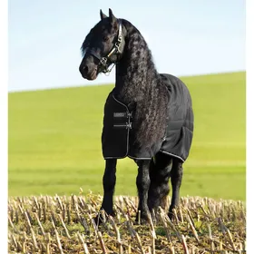 Meilleurs prix pour Couverture d'écurie pour cheval Rambo 100g Horseware