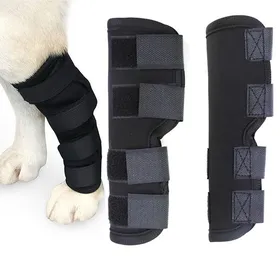 Meilleurs prix pour Orthèses osseuses pour chien respirantes INF pour le LCA, l’arthrite, les douleurs articulaires