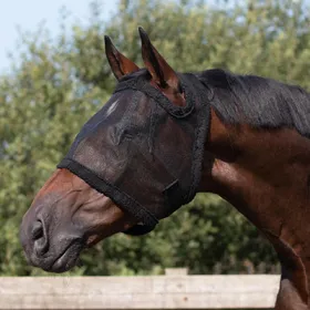 Meilleurs prix pour Masque anti-mouches QHP sans protège-oreilles - Taille Cob - Noir