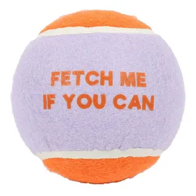Comparer les prix de Balle pour chien Coockoo Fetch Me