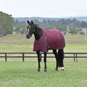 Comparer les prix de Weatherbeeta Comfitec Essential Turnout 0g