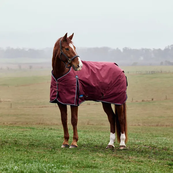 Couverture d'extérieur pour cheval Weatherbeeta Comfitec Prelim 220g – photo 2
