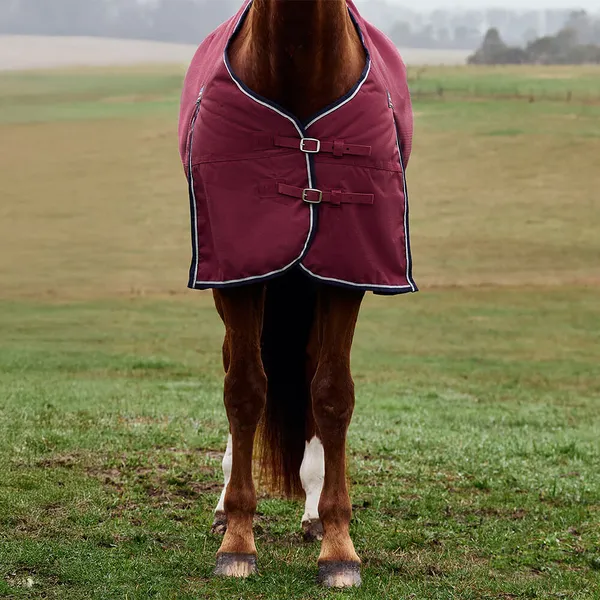 Couverture d'extérieur pour cheval Weatherbeeta Comfitec Prelim 220g – photo 3