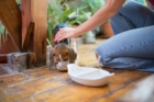 Croquettes chiot : comment choisir la bonne alimentation dès le départ